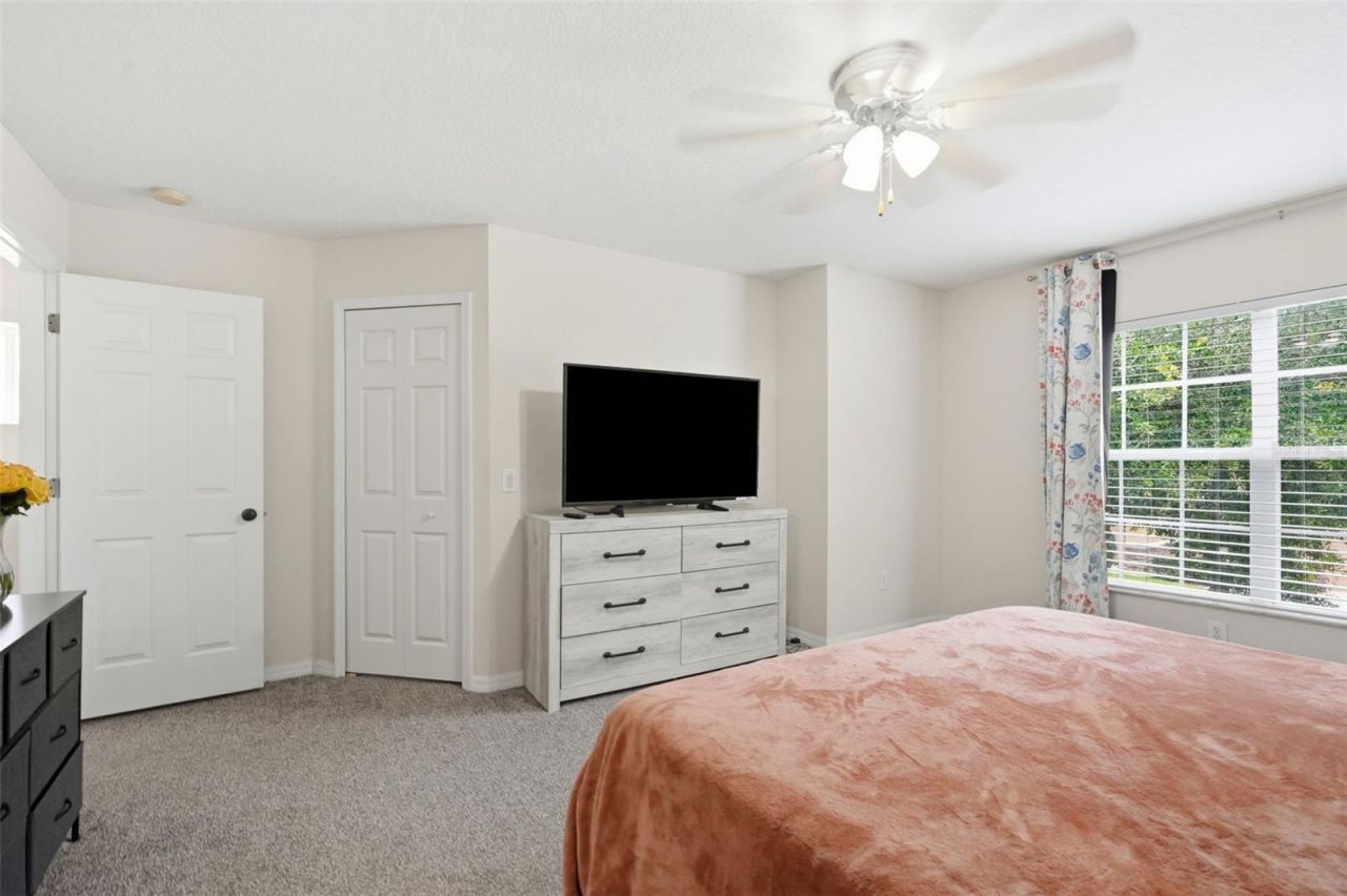 11828 Castine Street, New Port Richey, FL 34654 Photo