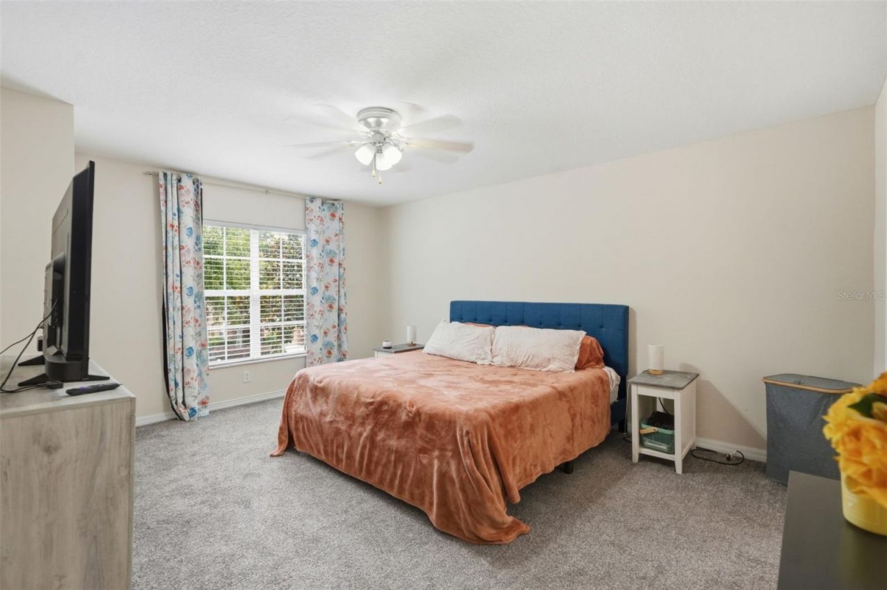 11828 Castine Street, New Port Richey, FL 34654 Photo