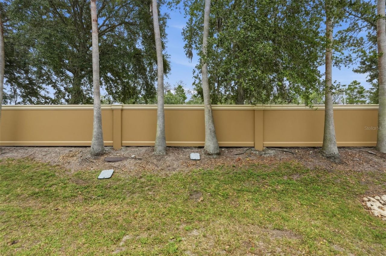 11828 Castine Street, New Port Richey, FL 34654 Photo
