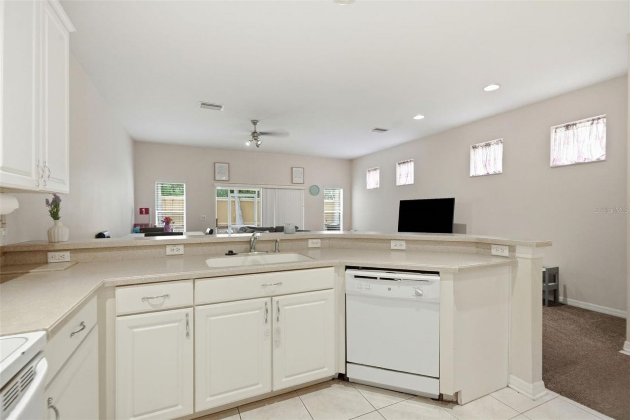 11828 Castine Street, New Port Richey, FL 34654 Photo