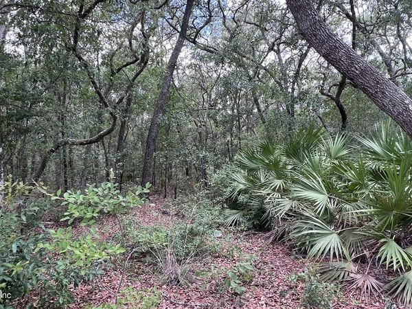 1107 USINA Avenue, Interlachen, FL 32148