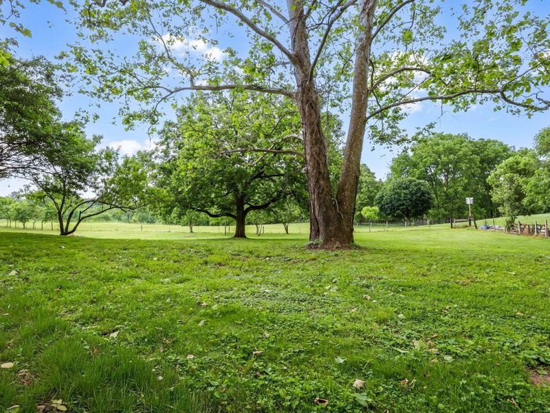 3313 Raccoon Valley Road, Granville, OH 43023 Photo 40