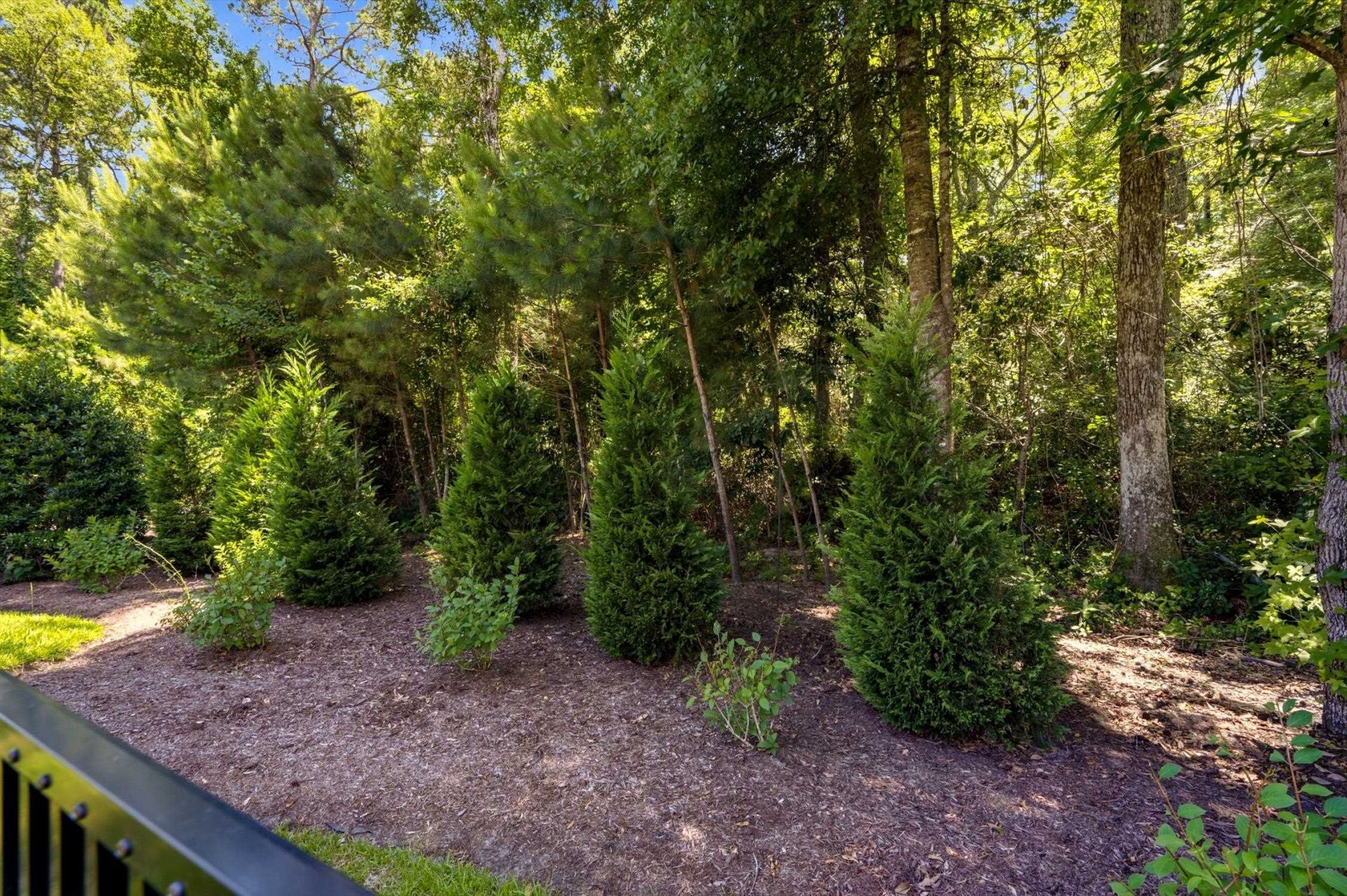 1780 Cart Ln.  Photo 41