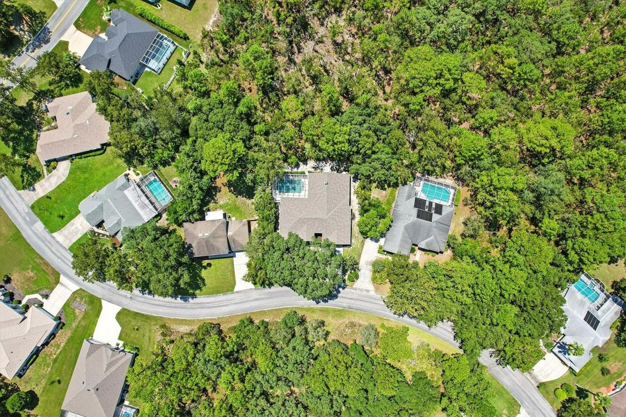 8 Sweetgum Court N, Homosassa, FL 34446 Photo