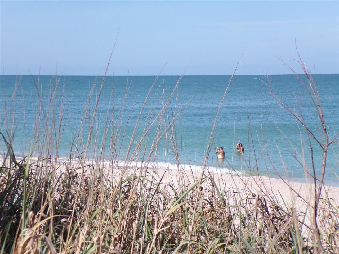 1124 Sunset Drive, Venice, FL 34285 Photo