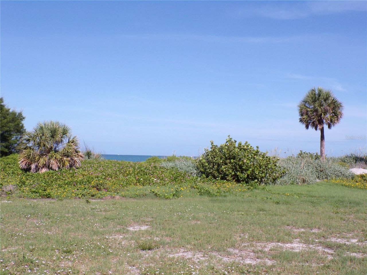 1124 Sunset Drive, Venice, FL 34285 Photo