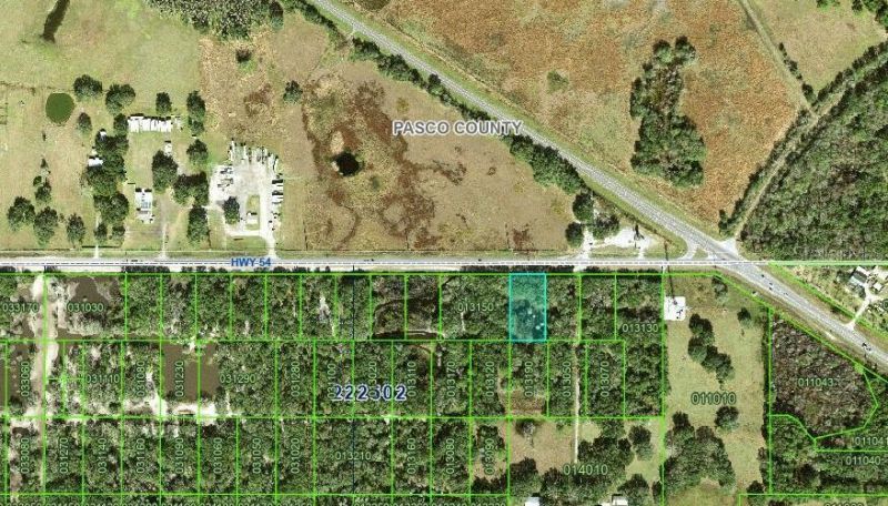 Highway 54, Kathleen, FL 33849 Main Photo