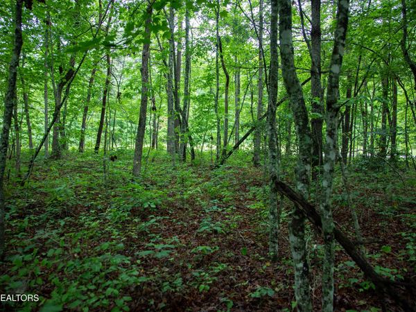 0 Lot 6 Cumberland Lakes Drive, Monterey, TN 38574