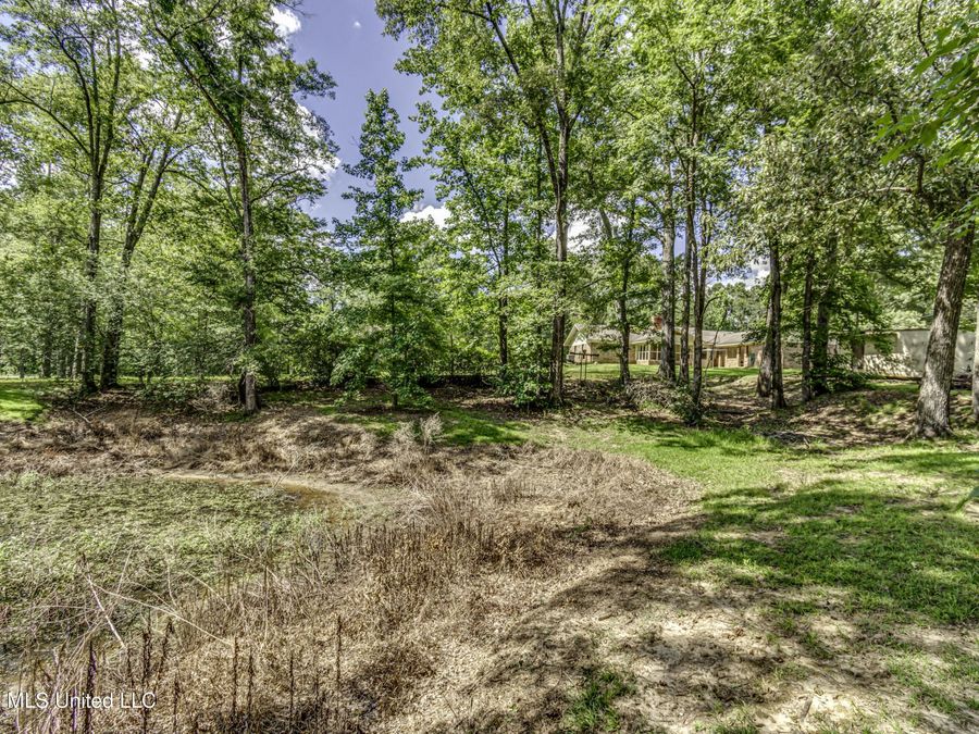Property Image 60