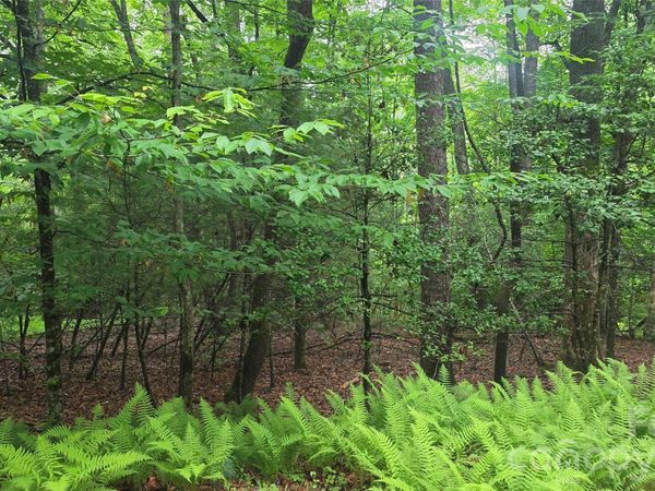 TBD Wingfield Way , Brevard, NC 28712