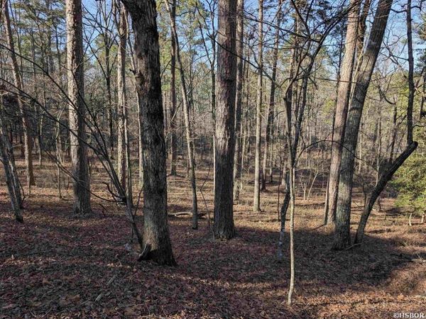 30 MONTIJO Way, Hot Springs Village, AR 71909