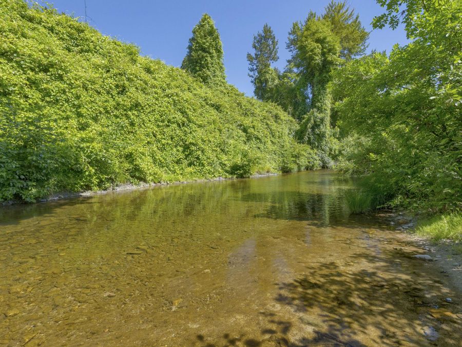 Property Image 55