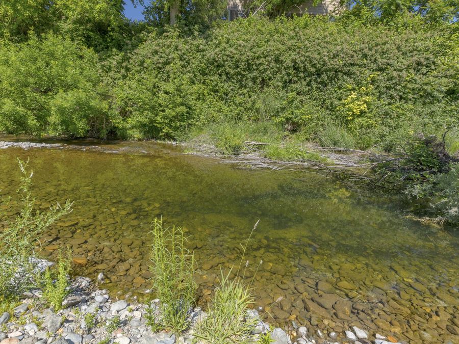 Property Image 60