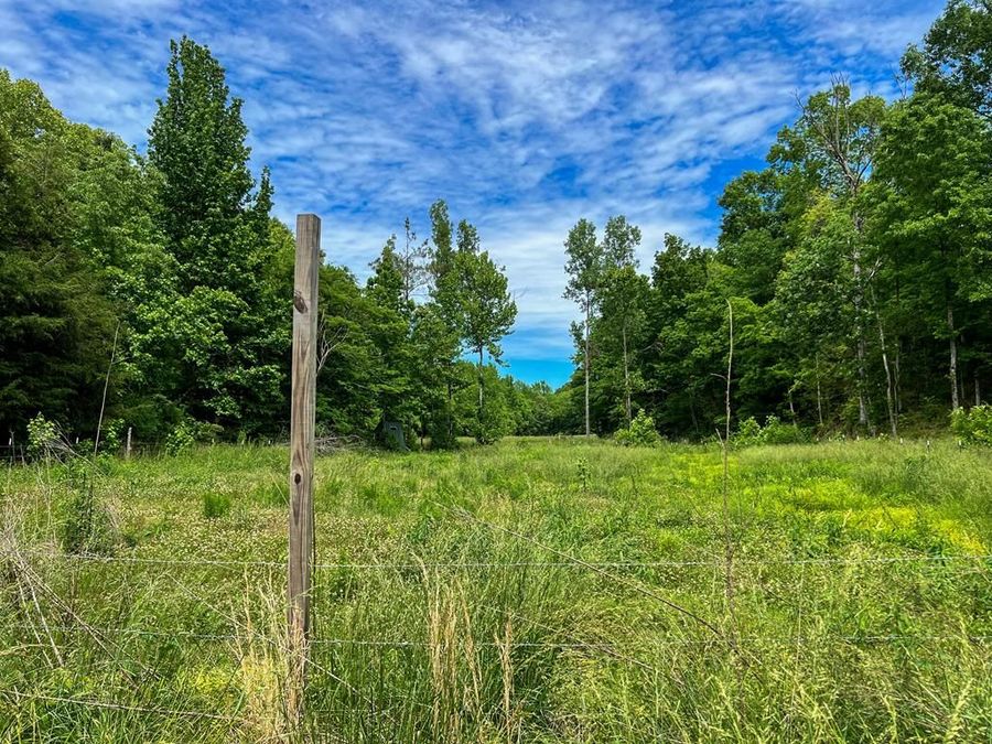 Property Image 63