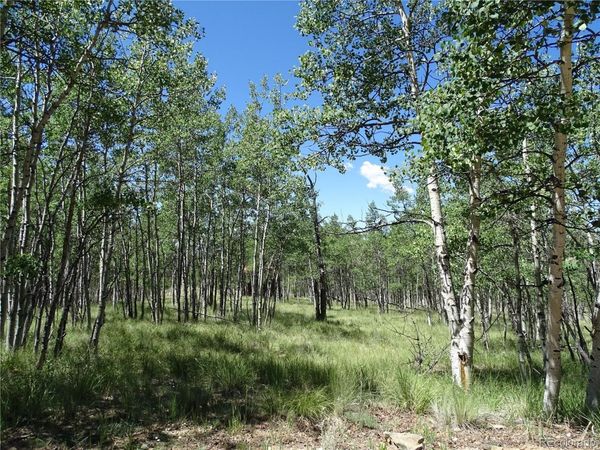 782 Bowstring Road , Como, CO 80432