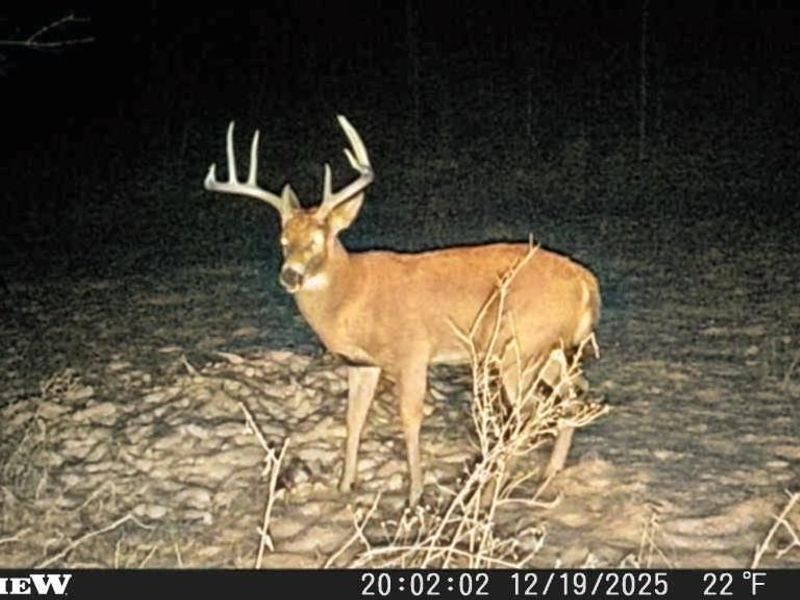 2793 Zutavern Church Road NW, Bolivar, OH 44621 Photo 30