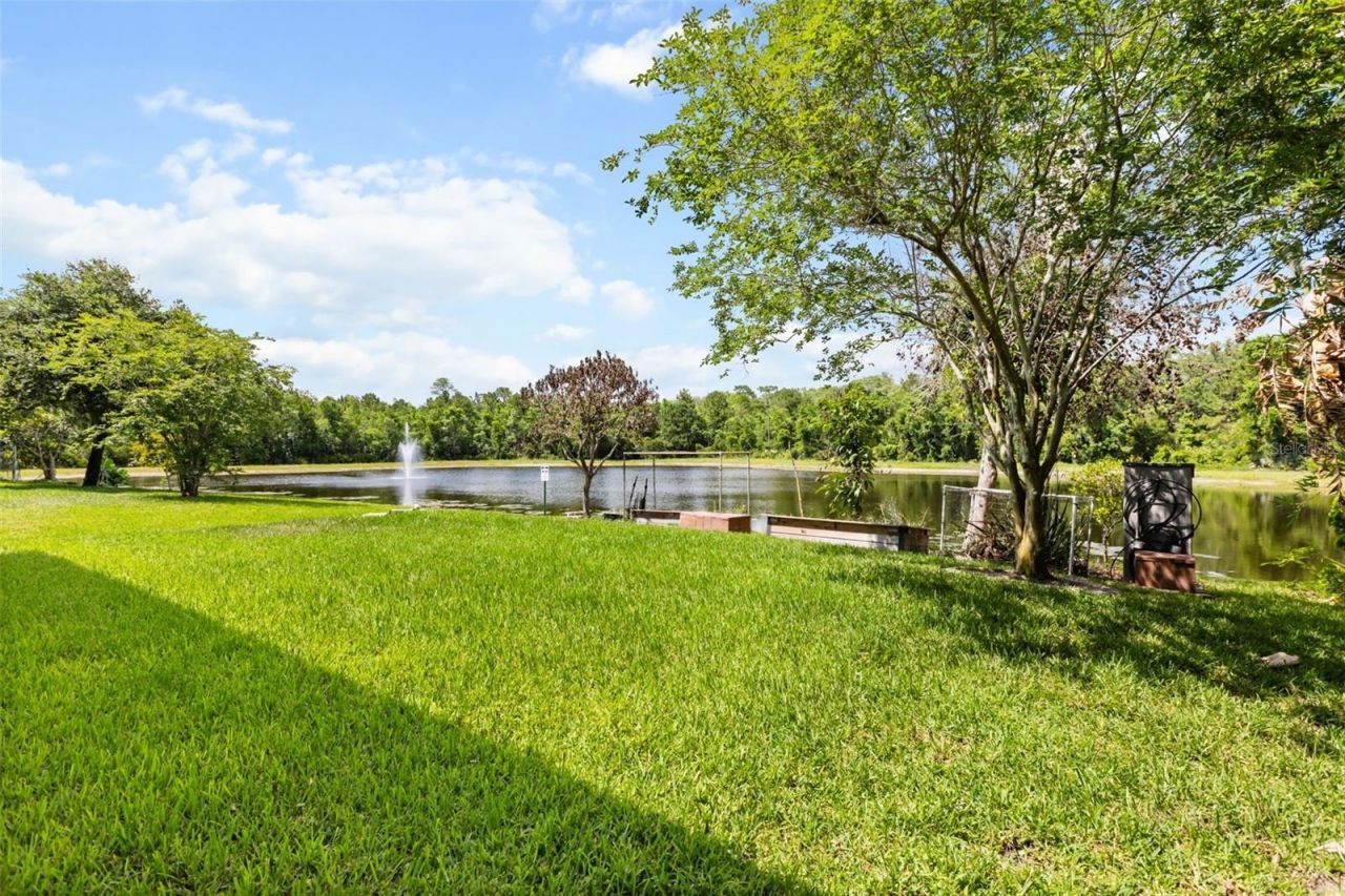 12666 Moss Park Ridge Drive, Orlando, FL 32832 Photo