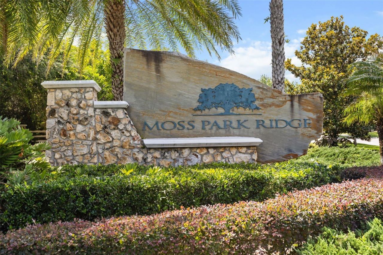 12666 Moss Park Ridge Drive, Orlando, FL 32832 Photo