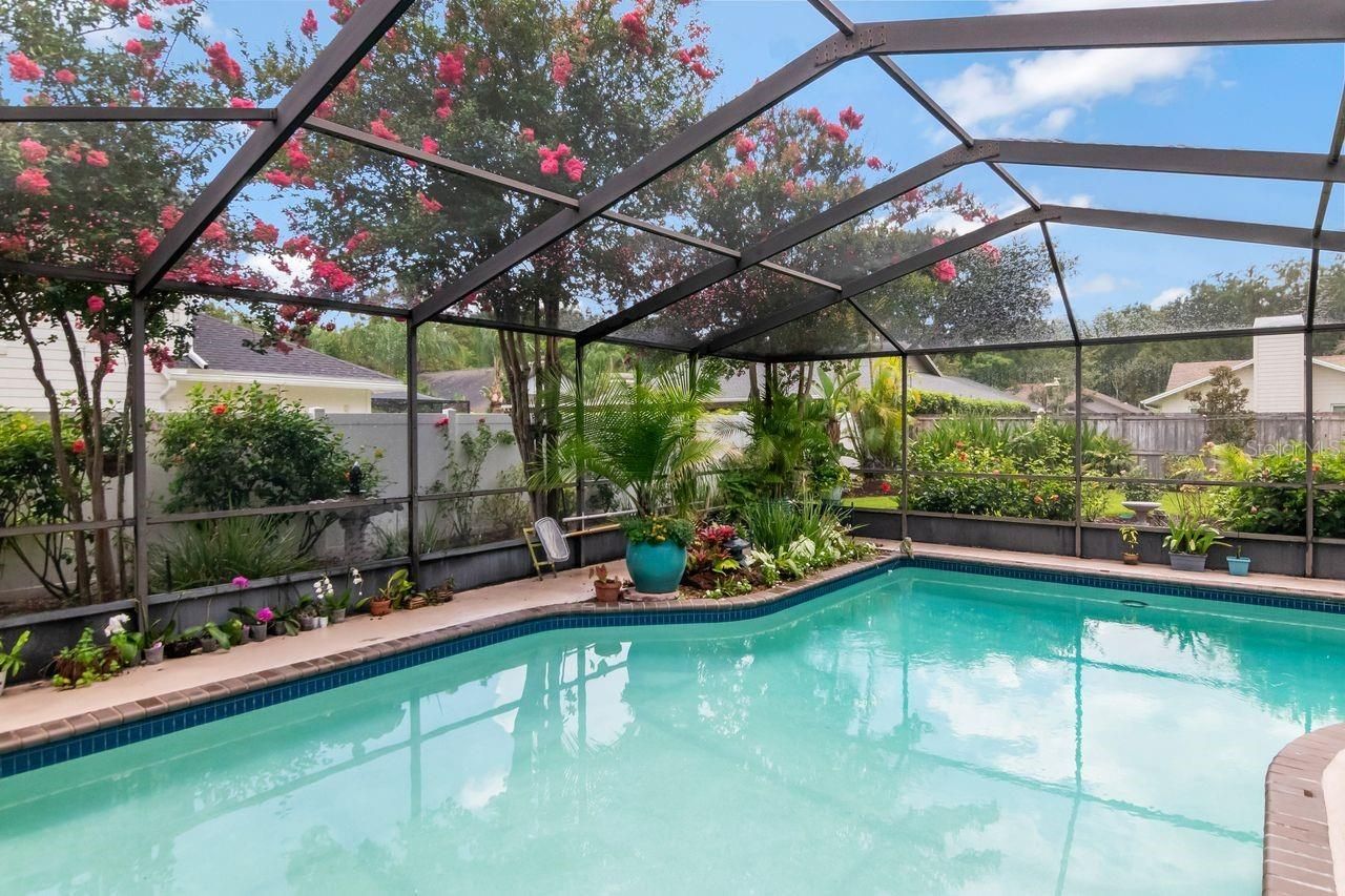 3306 Westmoreland Drive, Tampa, FL 33618 Photo