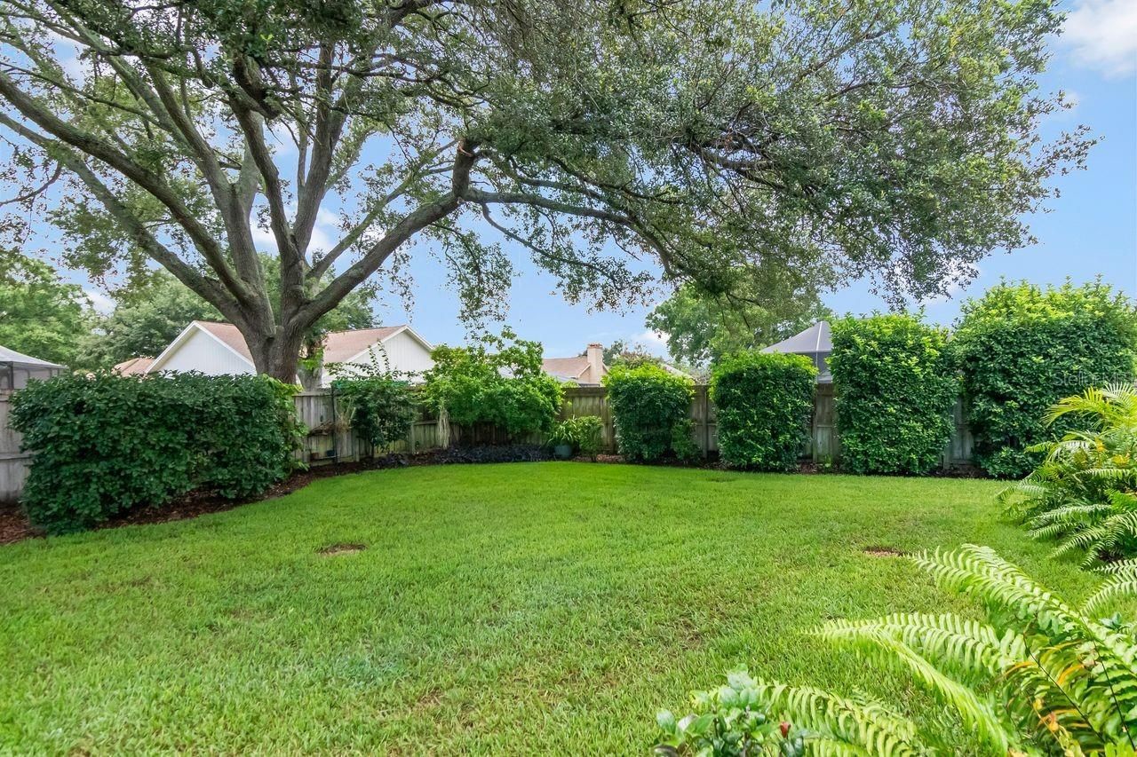 3306 Westmoreland Drive, Tampa, FL 33618 Photo