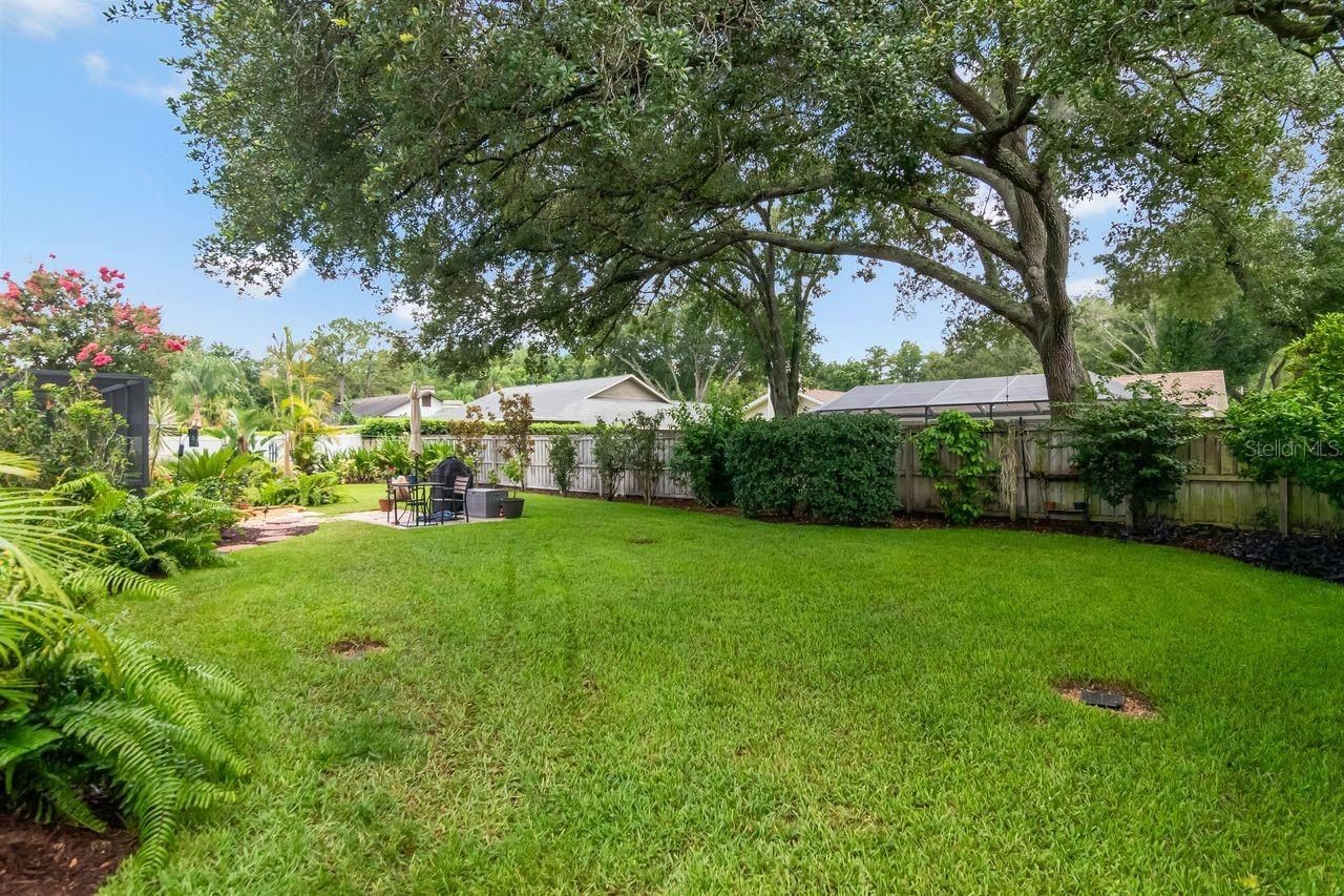 3306 Westmoreland Drive, Tampa, FL 33618 Photo