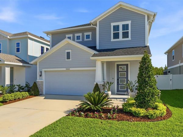 28945 ORANGE BERRY DRIVE, WESLEY CHAPEL, FL 33543