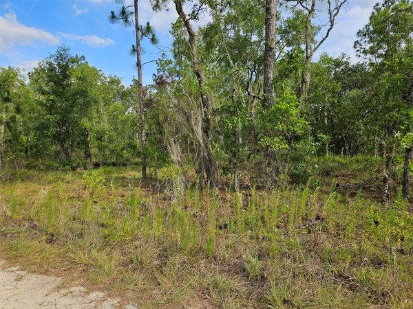 tbd NE 12TH LANE , WILLISTON, FL 32696