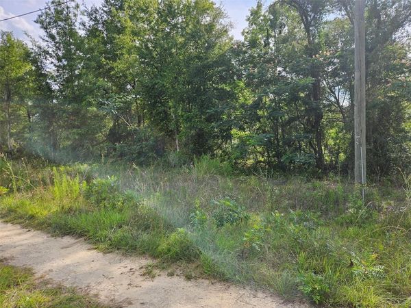 TBD NE 153RD AVENUE , WILLISTON, FL 32696