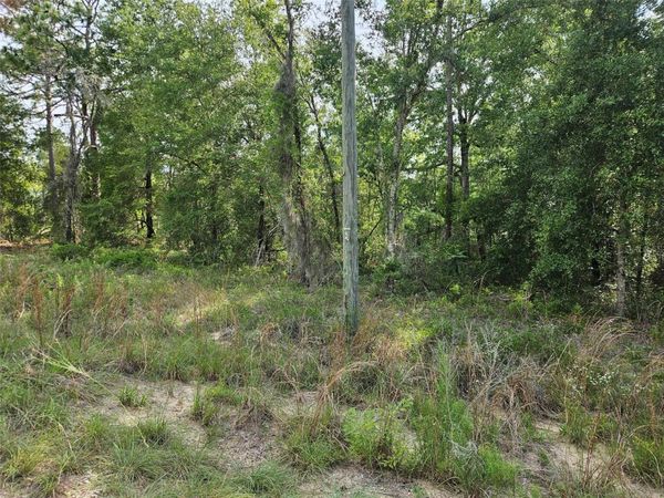tbd NE 153RD AVENUE , WILLISTON, FL 32696
