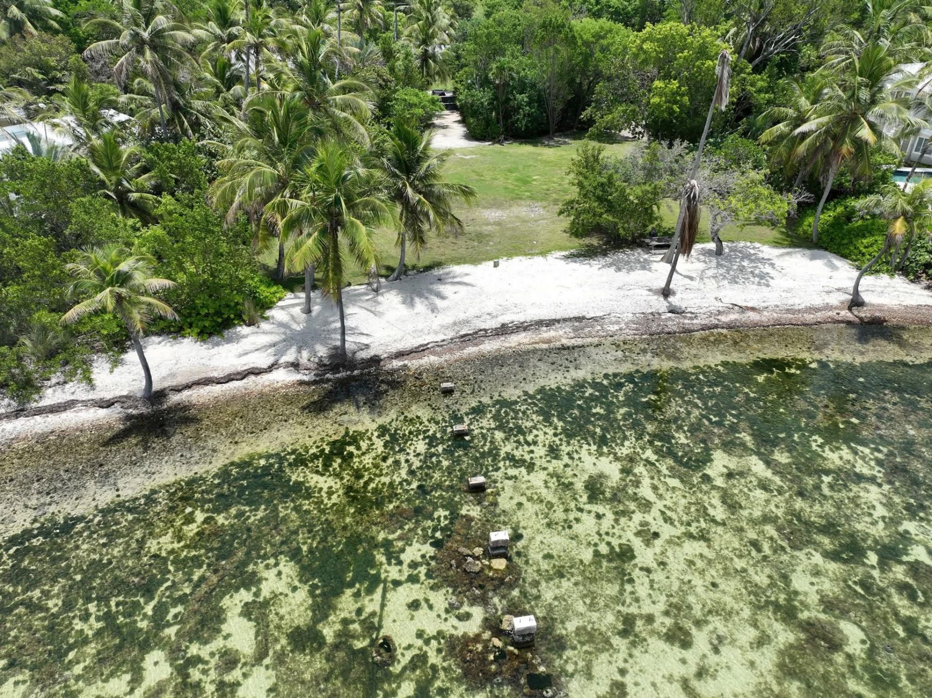 41 Sunset Road, Key Largo, FL 33037 Photo