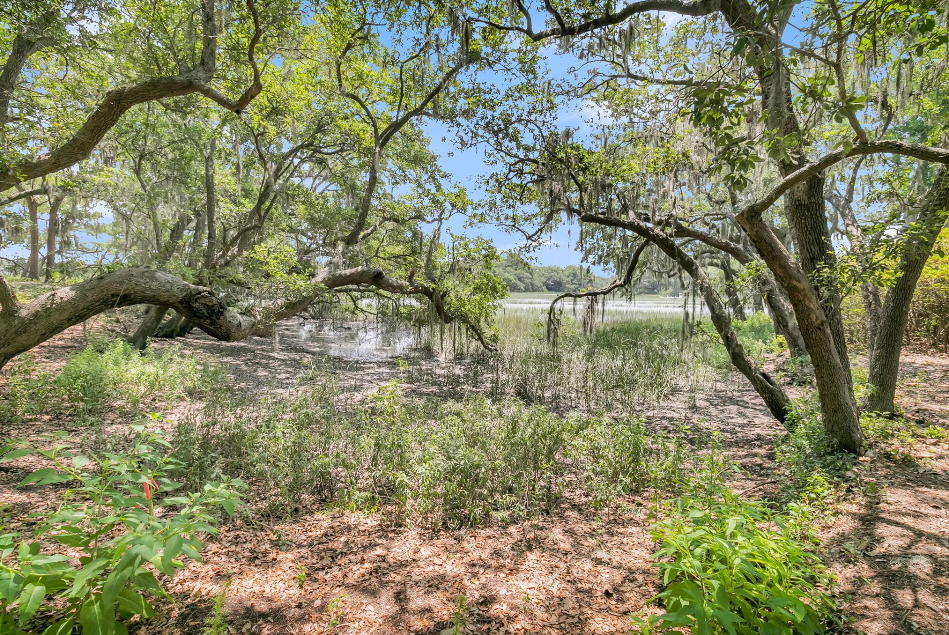 1203 Sea Aire Drive Photo 37