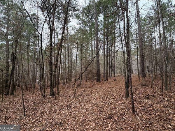 1700 Northwoods Drive, Greensboro, GA 30642