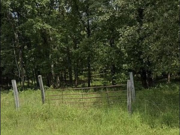 12814 Cranfield Road , Birchwood, TN 37308