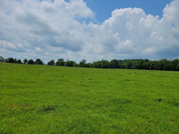 2 Shady Grove Rd , Unit 2, Morrison, TN 37357