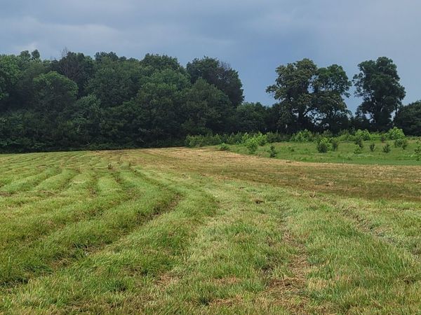 2 Shady Grove Rd, Unit 2, Morrison, TN 37357