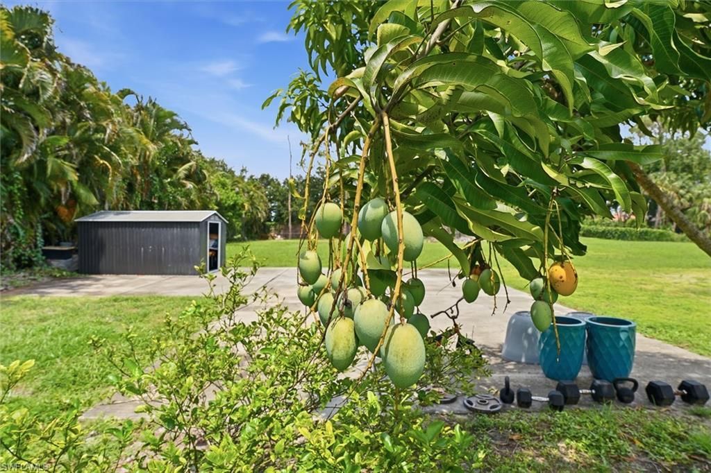 721 Logan Blvd S, Naples, FL 34119 Photo