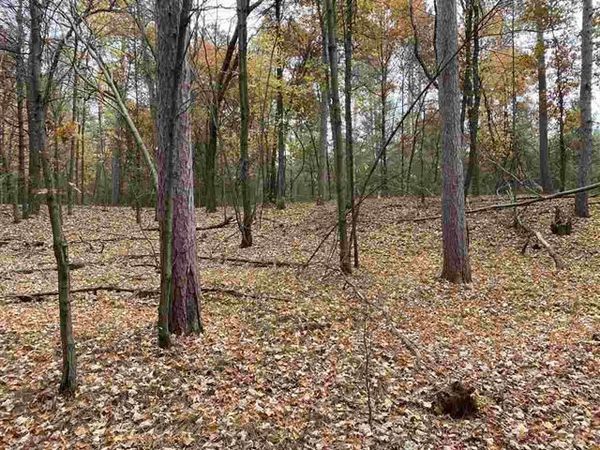 6.17 Acres TOWNLINE ROAD, Wisconsin Rapids, WI 54494