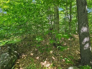 Summit Place , Old Forge, NY 13420