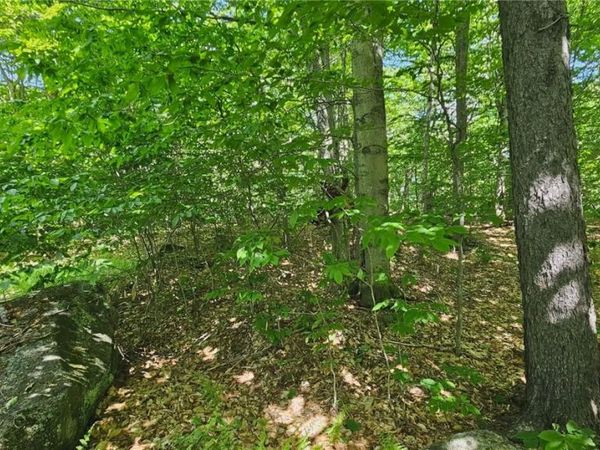 Summit Place, Old Forge, NY 13420