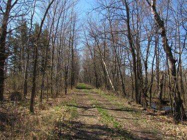 TBD-1 County Road 41, Willow River, MN 55795