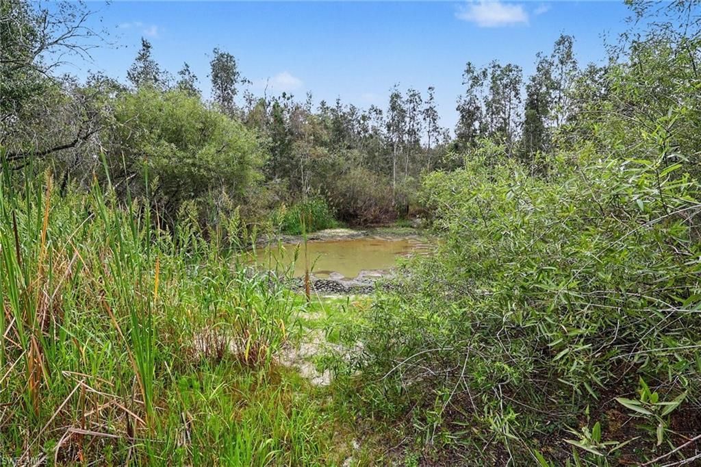 20800 Williams Dr, North Fort Myers, FL 33917 Photo