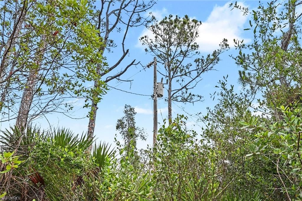 20800 Williams Dr, North Fort Myers, FL 33917 Photo