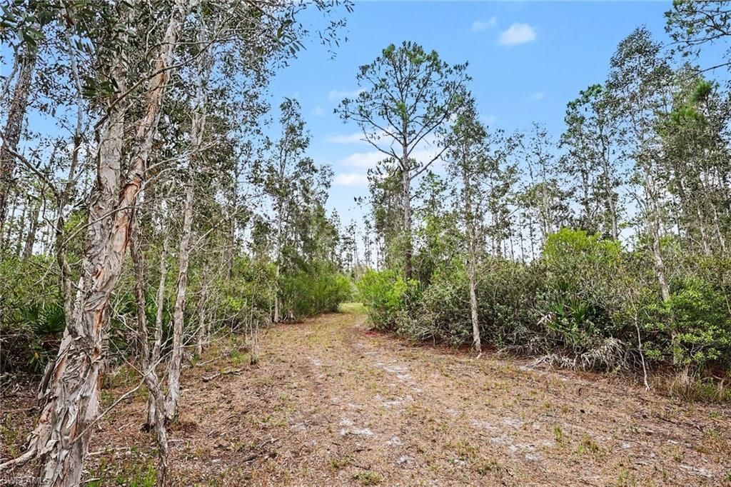 20800 Williams Dr, North Fort Myers, FL 33917 Photo