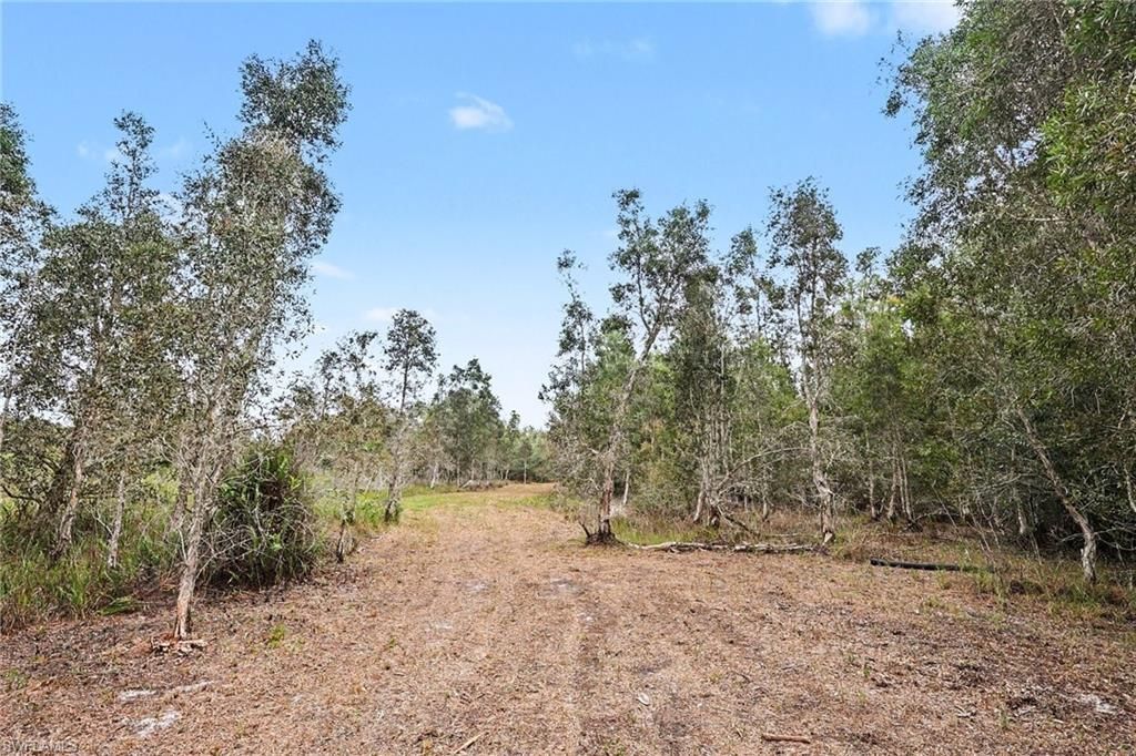 20800 Williams Dr, North Fort Myers, FL 33917 Photo
