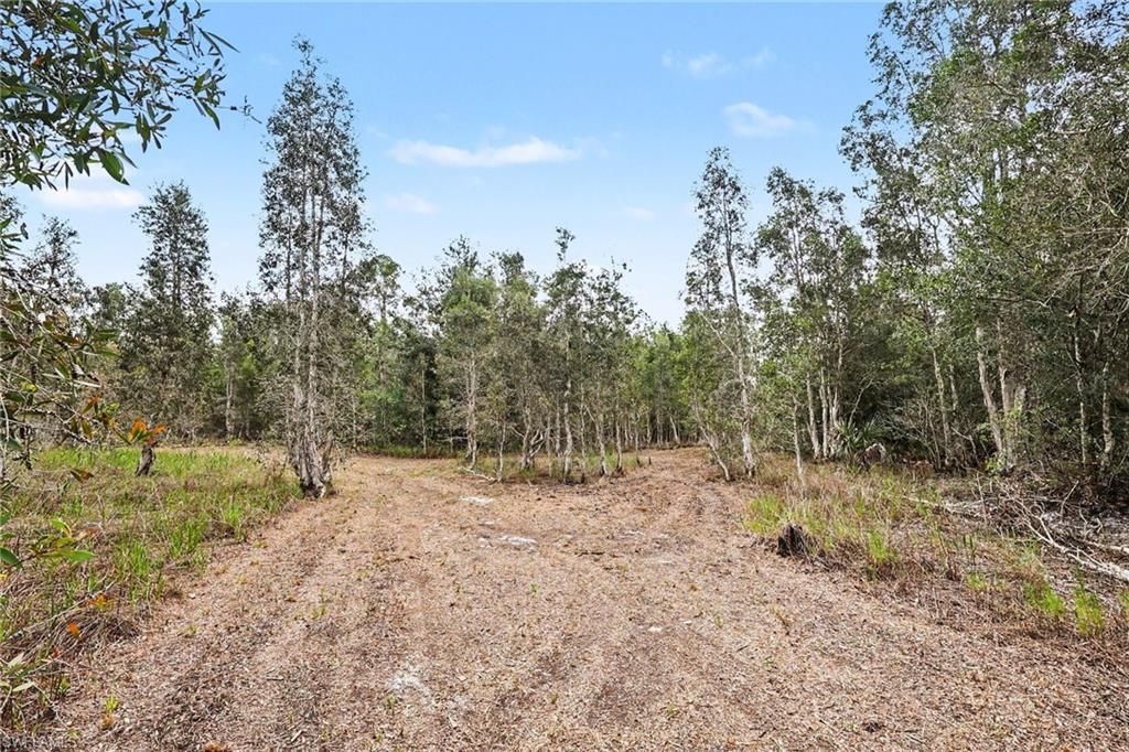 20800 Williams Dr, North Fort Myers, FL 33917 Photo