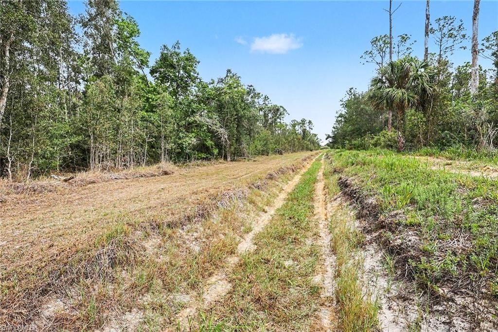 20800 Williams Dr, North Fort Myers, FL 33917 Photo