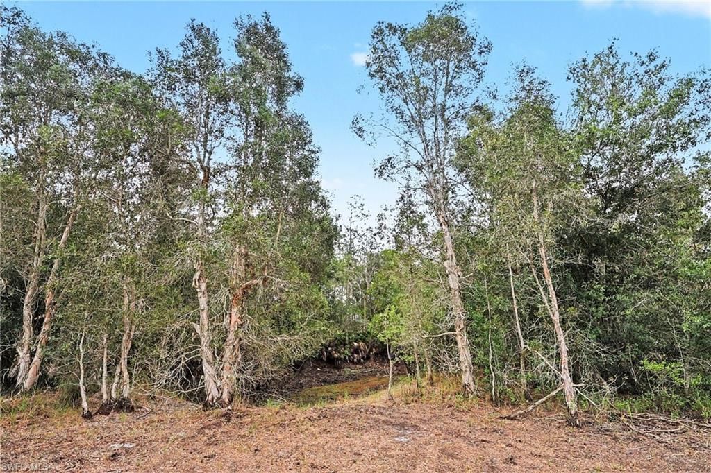 20800 Williams Dr, North Fort Myers, FL 33917 Photo