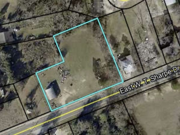 119 W T Sharpe Drive, Sylvania, GA 30467
