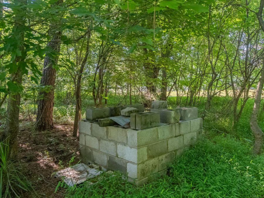Property Image 45