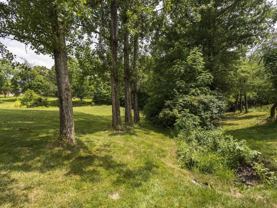 Property Image 46